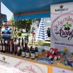 Obrtnički sajam 2017. Ivanić-Grad